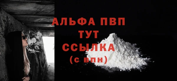 метадон Богданович
