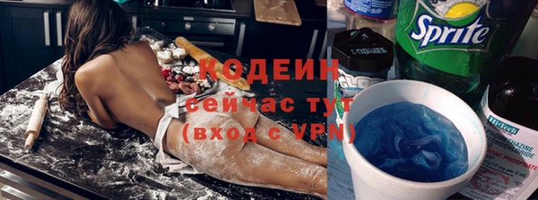 метадон Богданович