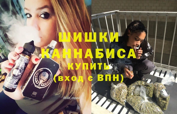 метадон Богданович