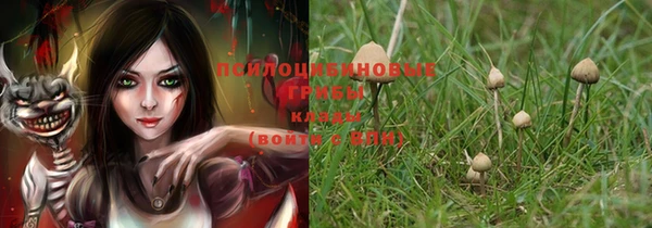 ешки Вуктыл