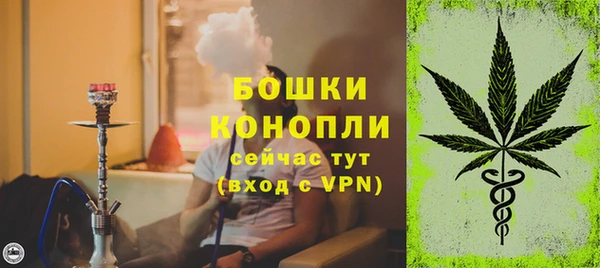 ешки Вуктыл