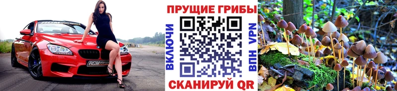 хочу наркоту  Верхний Уфалей  Галлюциногенные грибы Cubensis 